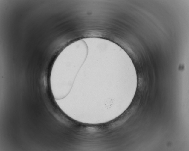 X0000103410302200809120955