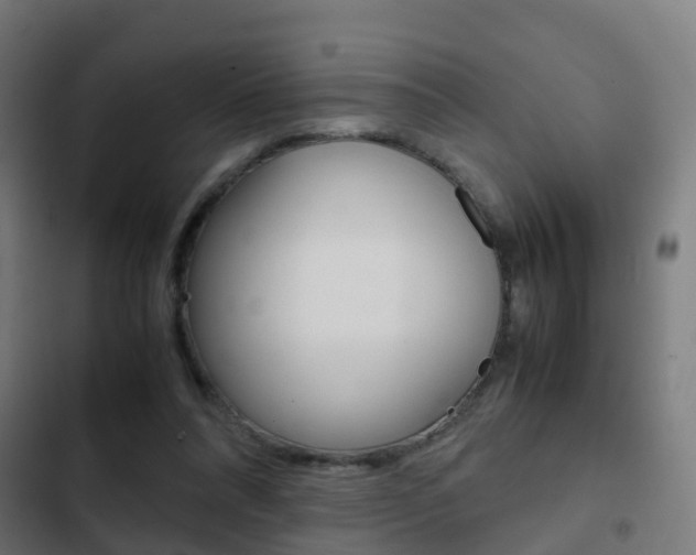 X0000103410304200809120955