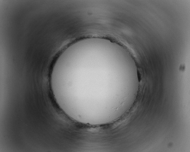X0000103410306200809120955