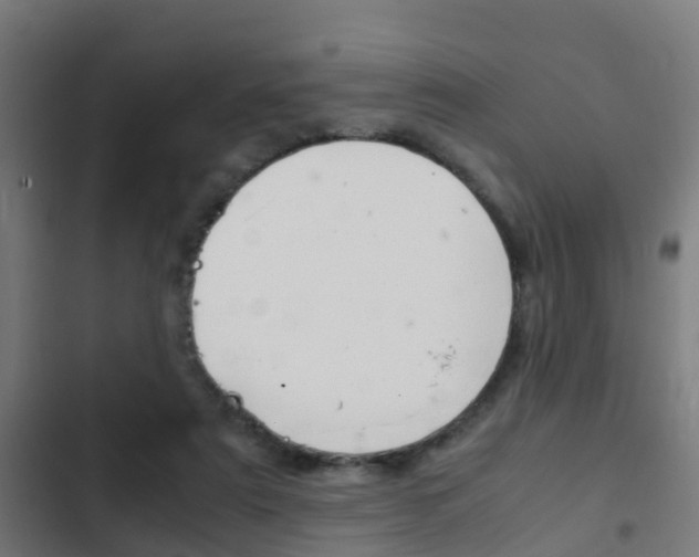 X0000103410307200809120955