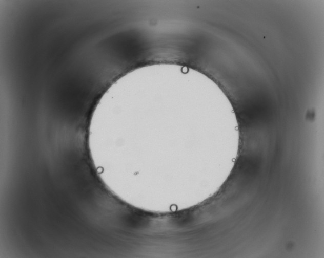 X0000103410309200809120955