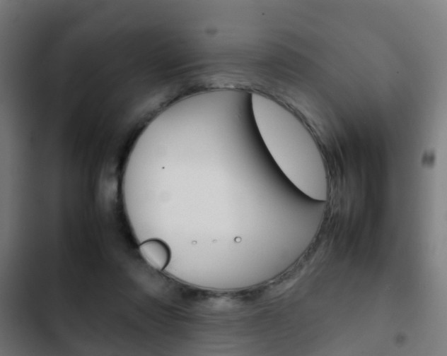X0000103410310200809120955