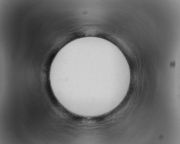 X0000103410311200809120955