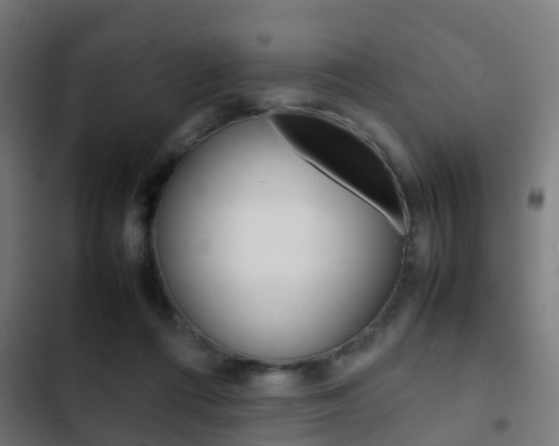 X0000103410312200809120955