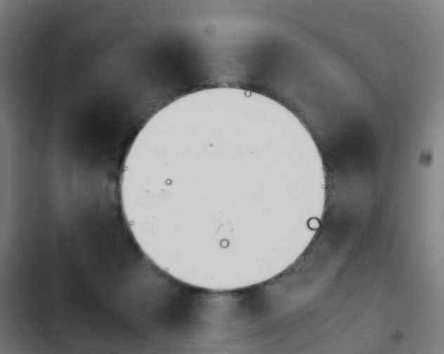 X0000103410313200809120955