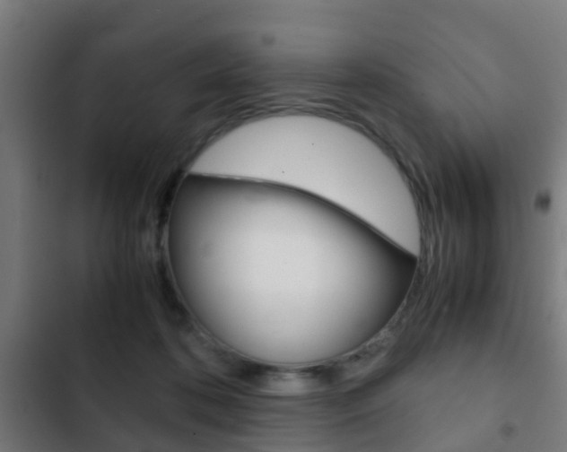 X0000103410316200809120955