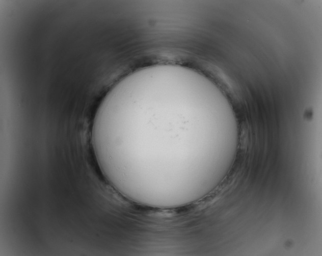 X0000103410318200809120955