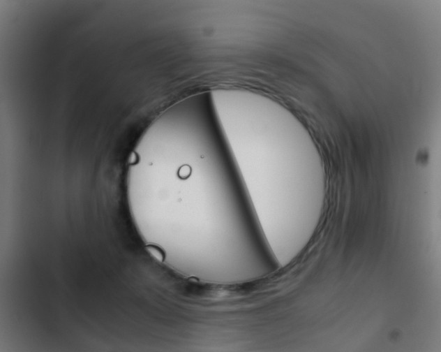 X0000103410319200809120955