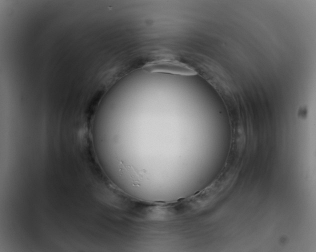 X0000103410320200809120955