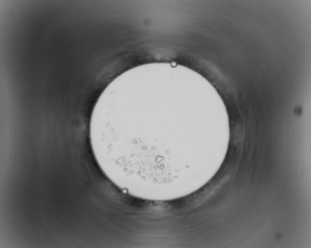 X0000103410321200809120955