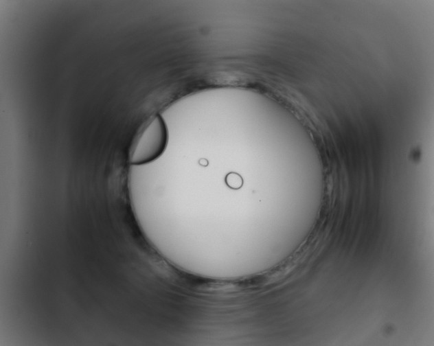 X0000103410322200809120955