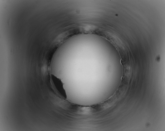 X0000103410324200809120955