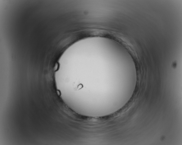X0000103410325200809120955