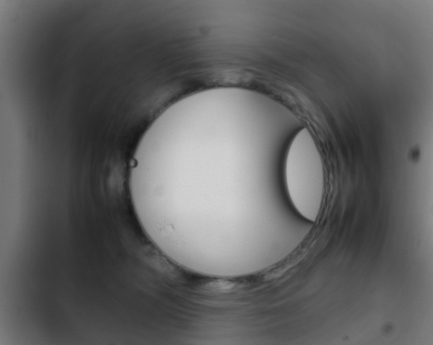 X0000103410326200809120955
