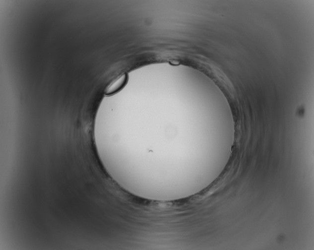 X0000103410329200809120955