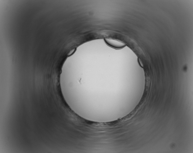 X0000103410331200809120954