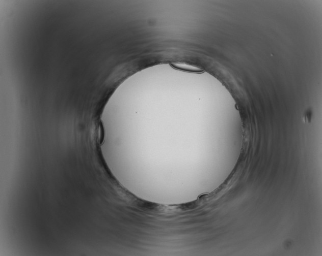 X0000103410333200809120954