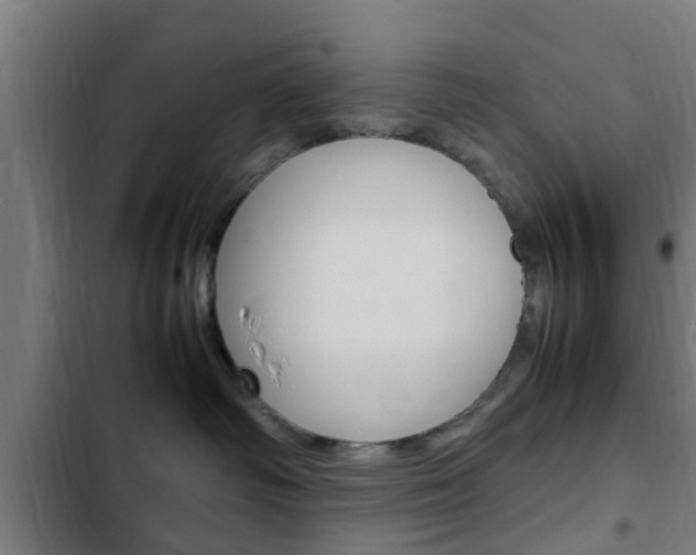 X0000103410334200809120954