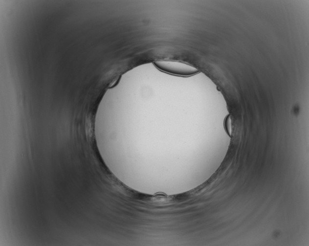 X0000103410335200809120954