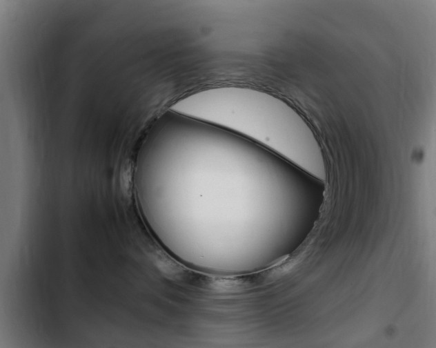 X0000103410336200809120954
