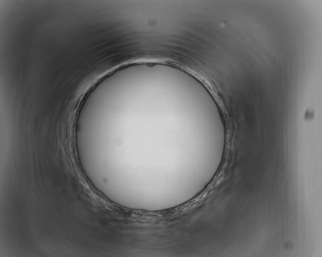 X0000103410337200809120954