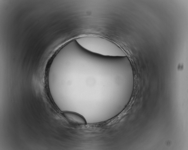 X0000103410338200809120954