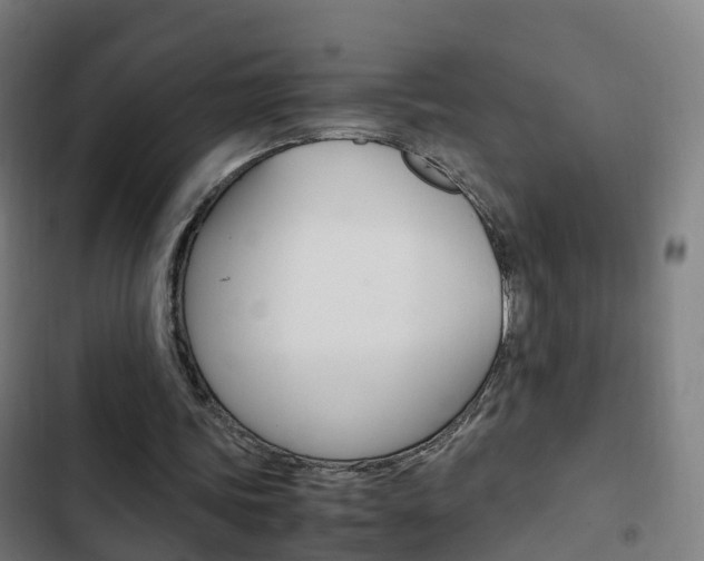 X0000103410339200809120954
