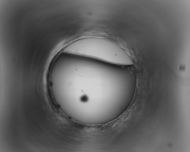 X0000103410340200809120954