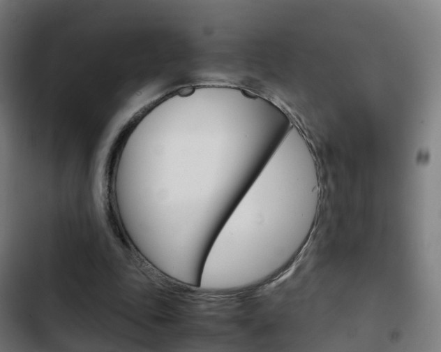 X0000103410343200809120954