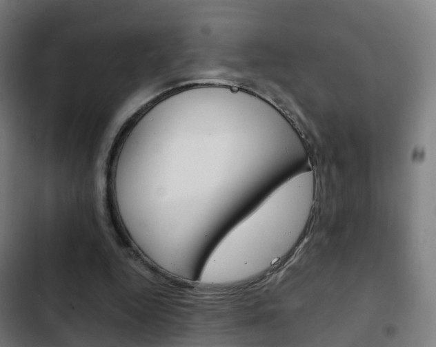 X0000103410344200809120954