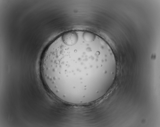 X0000103410346200809120954