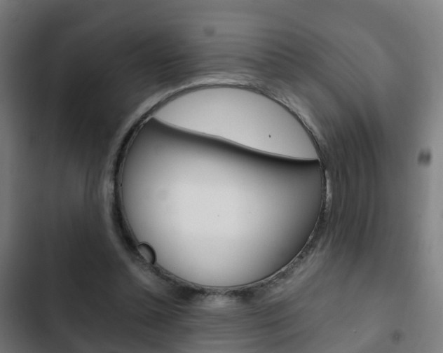 X0000103410348200809120954