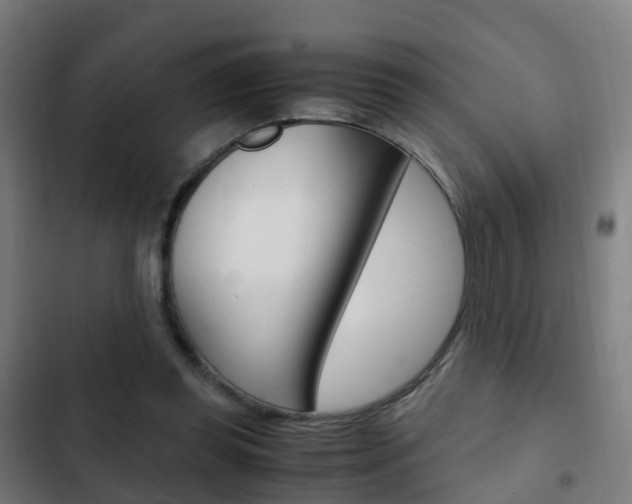X0000103410349200809120954