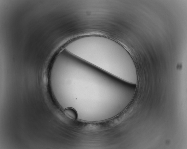 X0000103410350200809120954