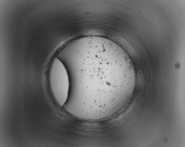 X0000103410351200809120954