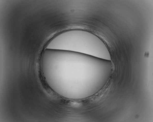 X0000103410352200809120954
