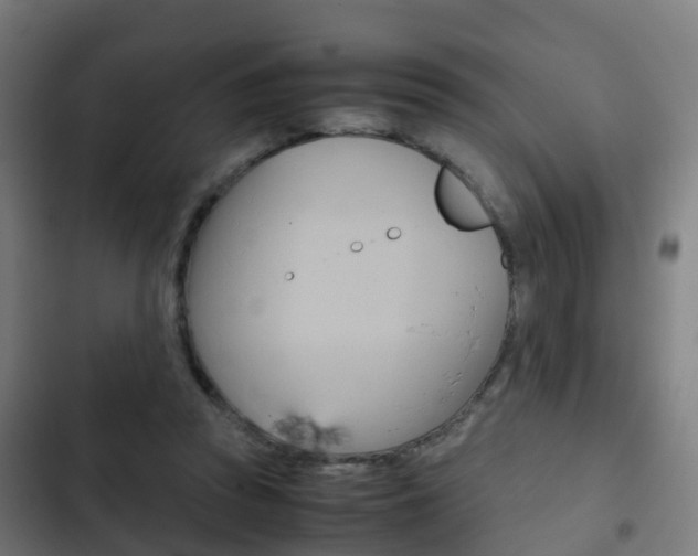 X0000103410353200809120954