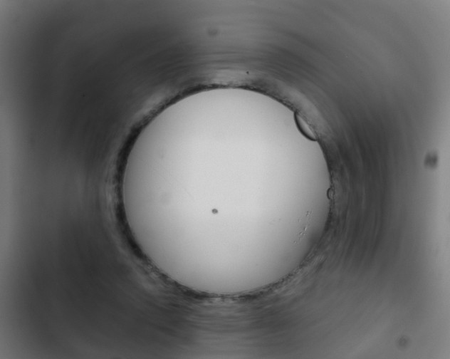 X0000103410354200809120954