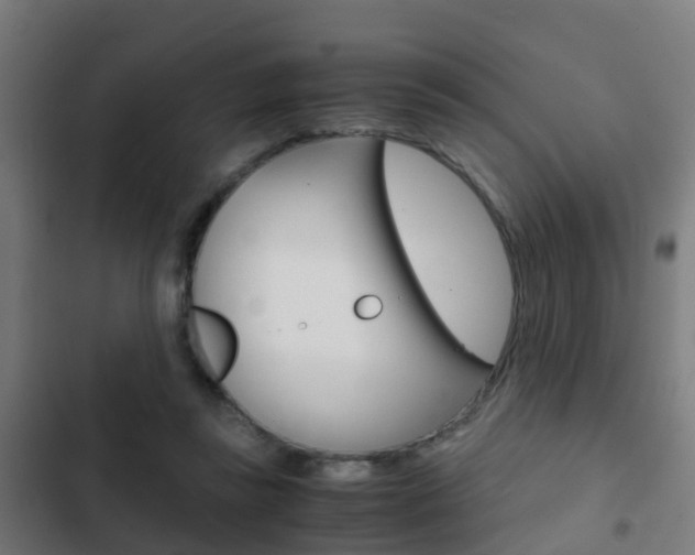 X0000103410355200809120954