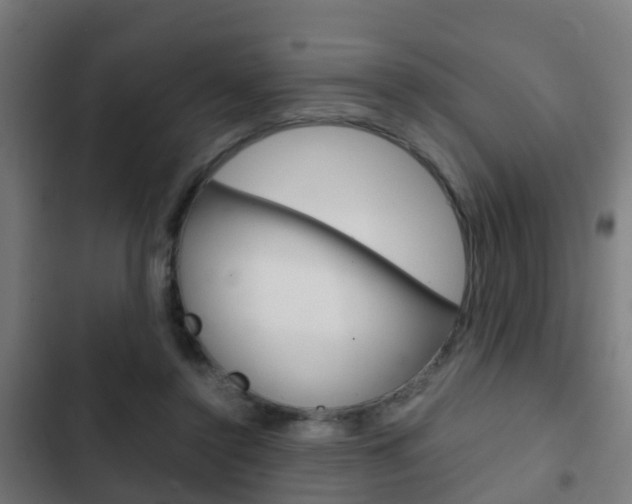 X0000103410356200809120954