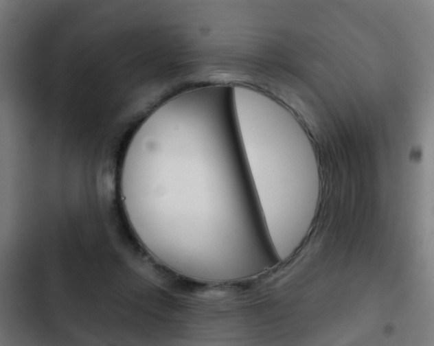 X0000103410358200809120954