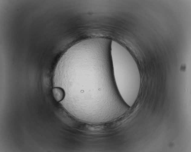 X0000103410359200809120954