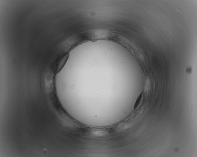 X0000103410360200809120954