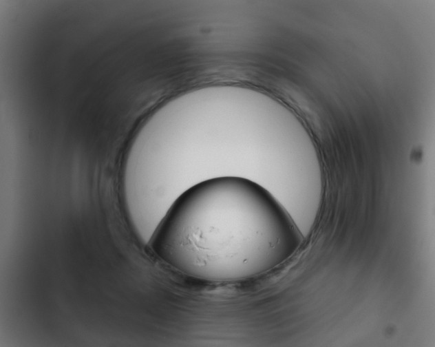 X0000103410362200809120954