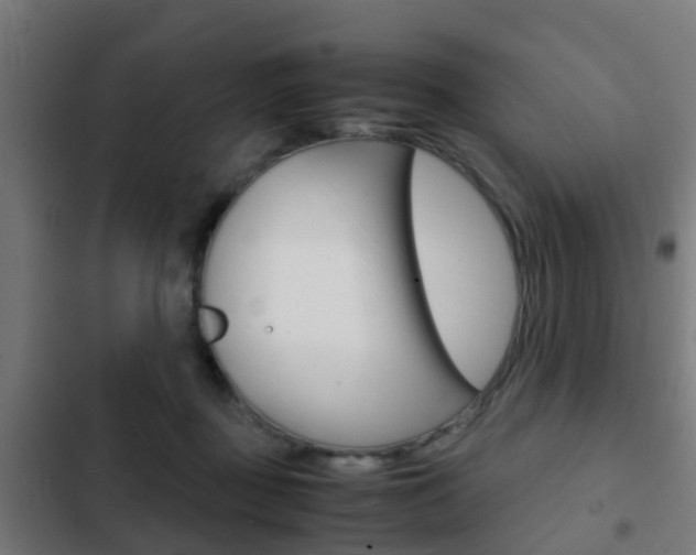 X0000103410363200809120954