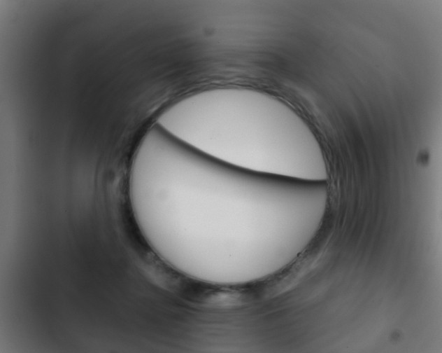 X0000103410364200809120954