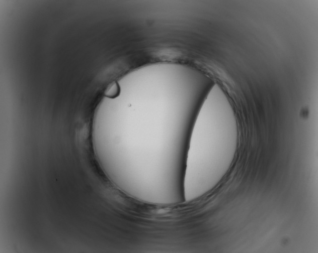 X0000103410365200809120954