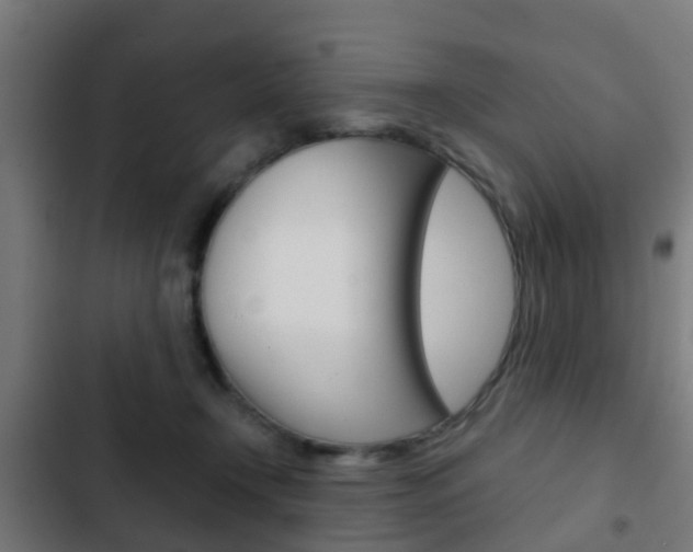 X0000103410366200809120954