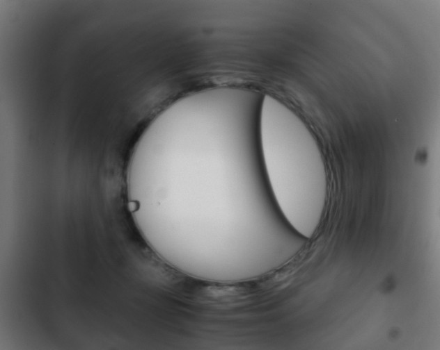X0000103410367200809120954