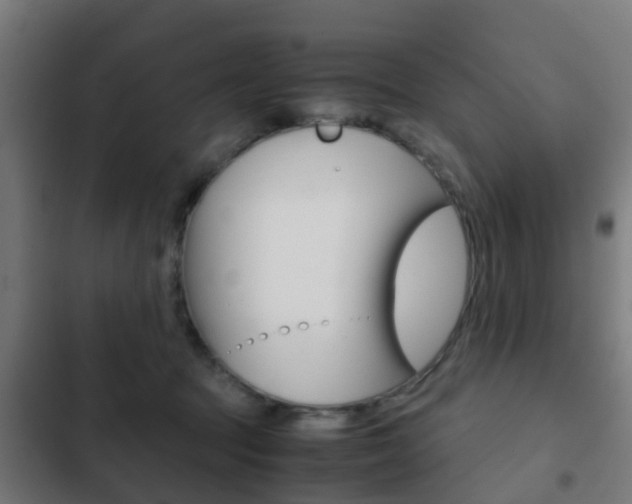 X0000103410369200809120954